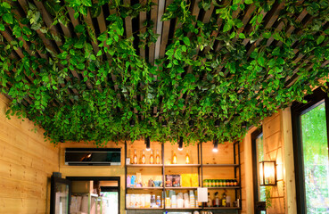 Interior with landscaping of ceiling in cafe and house, vertical garden inside shop