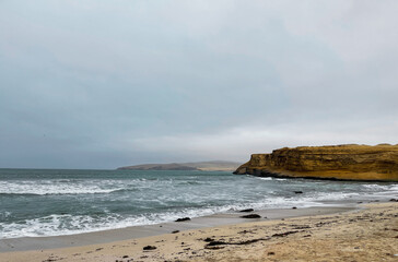 The pacific ocean crashing with Paracas desert