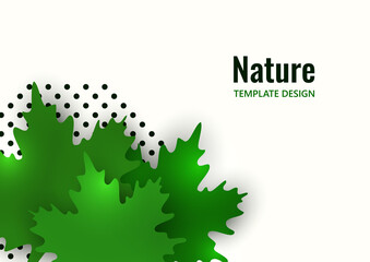 Green maple leaves on a white background. Summer creative design. Vector