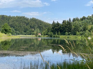 Picturesque small mountain accumulation lake Mrzla Vodica - Gorski kotar, Croatia (Slikovito malo goransko akumulacijsko jezero Mrzla Vodica - Gorski kotar, Hrvatska)