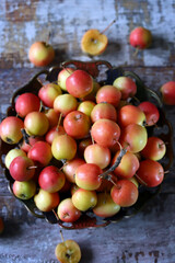 Selective focus. Paradise apples in a bowl.