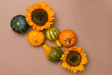 Pumpkins  and sunflowers on brown background. Flat lay autumn background.