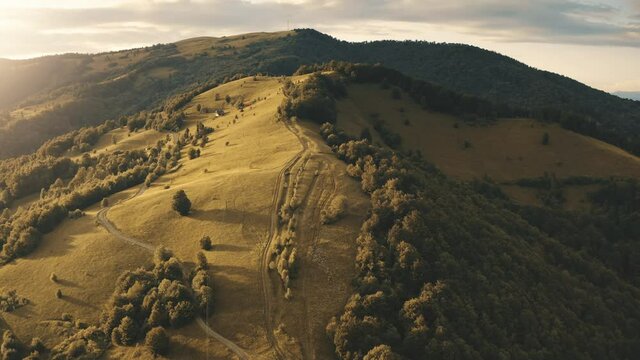 Green hill forest mountain highland valley in sunset. Aerial autumn dense wood mount range in Alps. Beautiful wild nature landscape in countryside area. Drone view slow motion. Eco tourism, travel