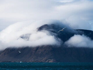 photo of mountain, glacier, sea ice, ocean and icebergs in the canadian arctic