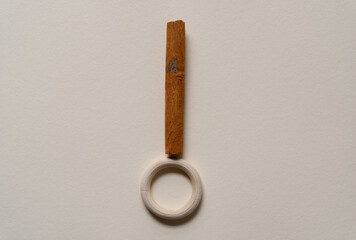 cinnamon stick with wooden ring on paper