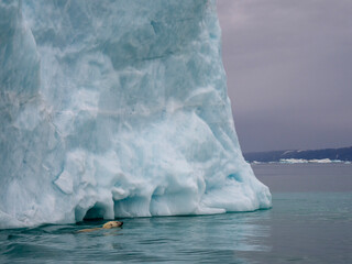 Glacier, ice, sea ice, oceans and mountains in the canadian arctic 