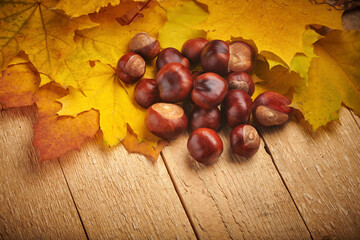Heap of horse chestnuts and maple yellow leaves on wooden table.