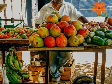Market stand with colorful mangos piled together