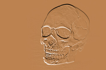 Scary brown emboss picture of human skull with black shadow