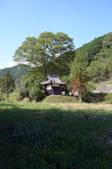 巨勢の道　巨勢寺跡の大日堂　奈良県御所市