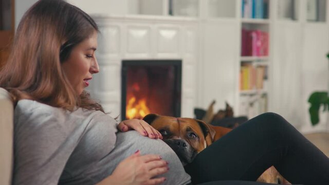 Beautiful pregnant woman with brown hair stitting in front of cosy fireplace stroking baby belly cuddle with dog shot in 4k