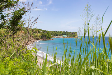 tropical beach viewed through grass