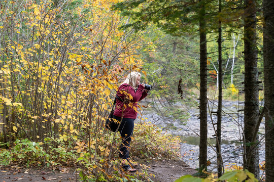 Blonde woman photographer takes photos at Grand Portage State Park in Minnesota during fall