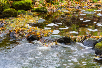 In the creek, stones and a stream of water.