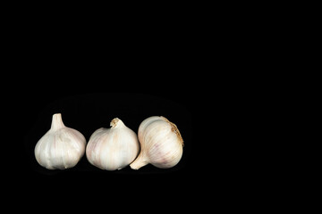 Garlics on a Black Background