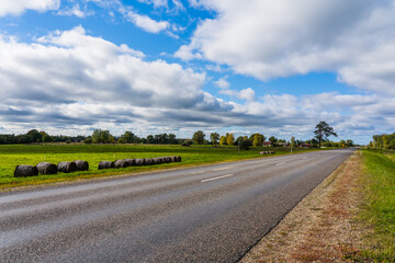 Hay rolls on the side of the road. A lonely pine.