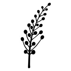 Branch silhouette with round berries vector icon. Hand-drawn illustration isolated on white background. Plants twig with seeds. Botanical sketch. Black outline of herb. Monochrome element