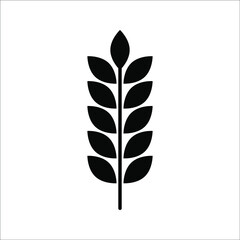 Farm wheat ears icon vector template. color editable on white background. eps 10