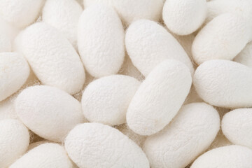 close up silkworm cocoons, source of silk fabric.