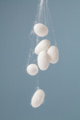 natural silk with silkworm cocoons on cyan background.