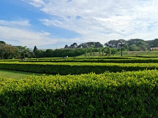 Jardim botânico Curitiba 