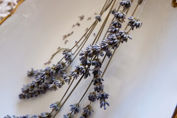 Plate with dry lavender flowers, selective focus. Bouquet of dry purple flower arranged on rustic...