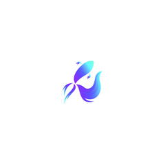 Full Color Betta Fish Logo Design Inspiration
