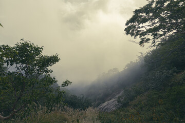 霧深い燕岳への登山道