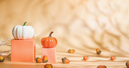 Autumn pumpkins and squash fruit ,oak nut with maple leaf on peach orange background with sunlight...