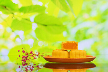 Moon cake with pretty background, a traditional food, cuisine, or snack for Chinese or Asian  Mid-Autumn festival 