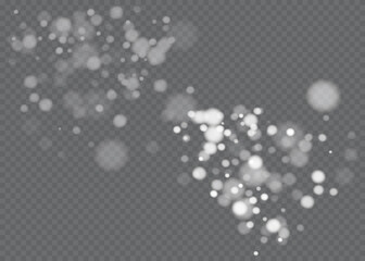 Bokeh background. Snowflakes isolated. Vector illustration.