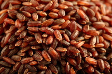 Macro, close up photograph of organic red, brown rice grains., healthy eating concepts.