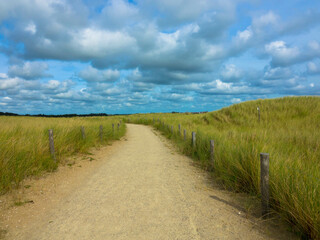 Fototapeta na wymiar Summer landscape with view of sandy path with slopes or small hilly on the dunes against cloudy sky. Dutch north sea coastline, De Koog, Texel Island, Noord Holland, Netherlands.