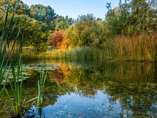 Herbst