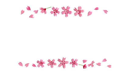 Fototapeta na wymiar 桜の刺繍飾り
