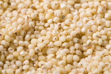 grain sorghum seed rice texture background. 