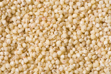 grain sorghum seed rice texture background. 