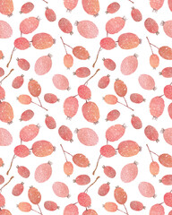 Watercolor hand drawn autumn seamless pattern with illustration of hawthorn berries on a branch. Vintage collection isolated on white background.