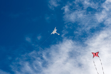 Colorful Kites flying over the sky