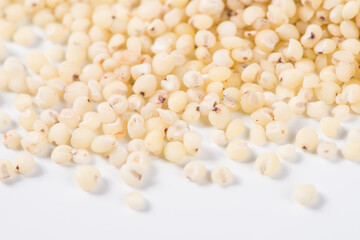 close up of grain sorghum seed rice