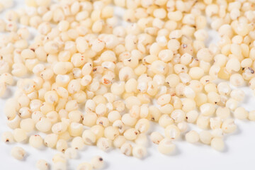 close up of grain sorghum seed rice