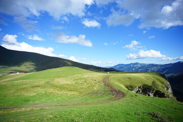 Fototapeta premium Amazing mountain landscape in Georgia on sunny summer day. Alpine green meadow in Caucasus highlands.
