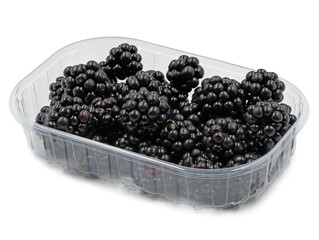 ripe blackberries in plastic bowl isolated on white background