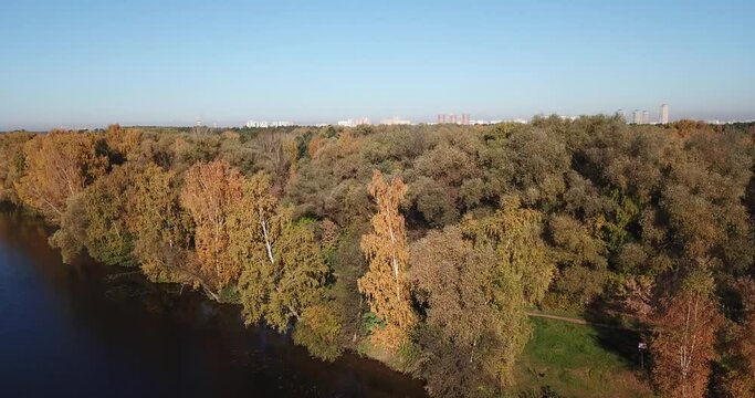 4K bright sunny autumn morning aerial drone video of Moskva River and yellow red forest park in Moscow, Russia