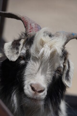 Fototapeta premium Valley of Himalayan mountains with mountain lake on track to Everest base camp. High mountains with snow-capped peaks. Khumbu valley, Sagarmatha national park, Nepal. Beautiful mountain landscape.