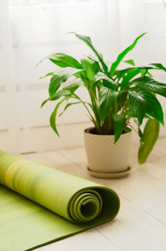green yoga mat in the room, yoga classes at home. High quality photo