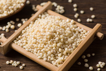 grain sorghum seed rice on wooden background.