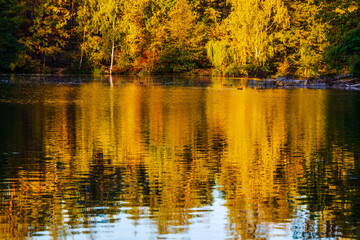 incredible autumn landscape with colorful leaves