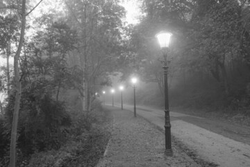 Beautiful view of a road with classic street lamps in a foggy environment. Old look. Black and white image.