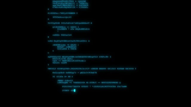 The blue text of a computer program is quickly typed on a black screen and freezes, blinking a blue square near the last character.